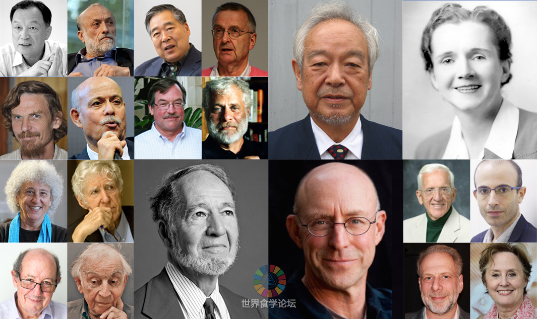 食事问题全球治理体系
